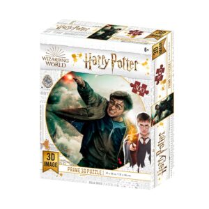 3D Puzzle Harry Potter - Harry