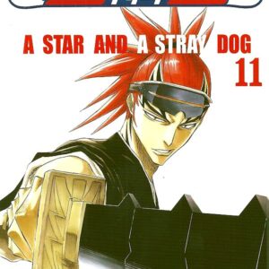 Bleach 11 - A Star and a Stray Dog
