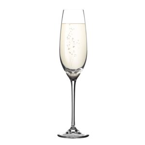 Sklenice na šampaňské SOMMELIER 210 ml