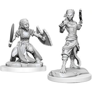 Dungeons & Dragons: Nolzur s Miniatures - Shifter Fighter