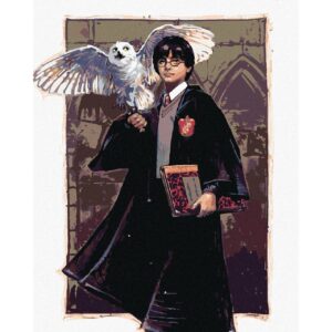 Malování podle čísel - Harry Potter a Hedvika v Bradavicích