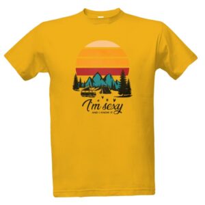 Pánské tričko Jsem sexy a umím to